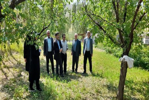 ارزیابی خسارات وارده به بخش کشاورزی تعدادی از شهرستان‌های استان در اثر بارش تگرگ و جاری شدن سیل