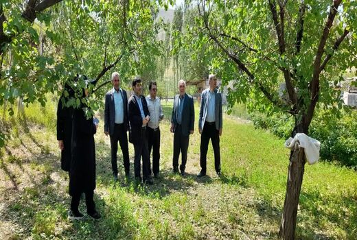 ارزیابی خسارات وارده به بخش کشاورزی تعدادی از شهرستان‌های استان در اثر بارش تگرگ و جاری شدن سیل