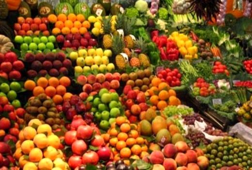 نیاز جدی خراسان شمالی به شرکت مدیریت صادرات در حوزه کشاورزی