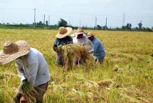 اختصاص ۴۰ هزار میلیارد ریال برای حمایت از کالاهای اساسی