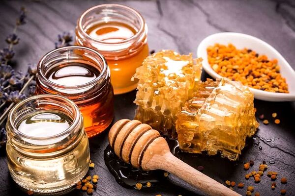 درآمد ۵.۶ میلیون دلاری صادرات عسل برای کشور 