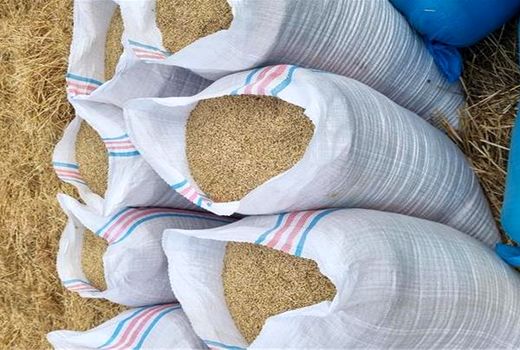 حمایت از دامداران لنده با توزیع ۹۰۰ تن نهاده‌های دامی