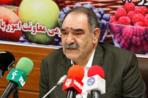 لزوم اعمال مدیریت هدفمند در مدیریت بحران سرمازدگی باغات و گلخانهها