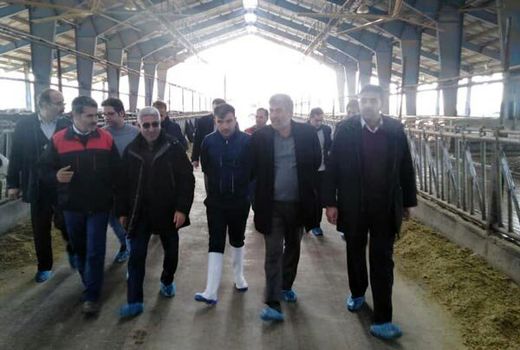 بیشترین ظرفیت اشتغال در حوزه کشاورزی است