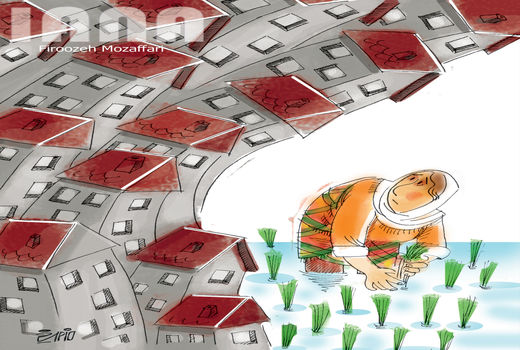 ویلاکاران در مصاف برنج کاران-کارتون فیروزه مظفری