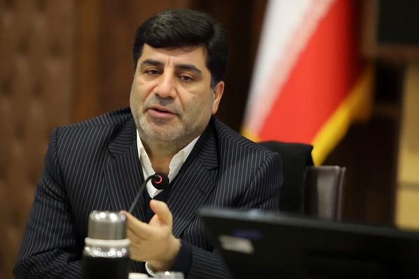 تصمیم راهبردی دولت برای تقویت ستون مالی بخش کشاورزی کشور