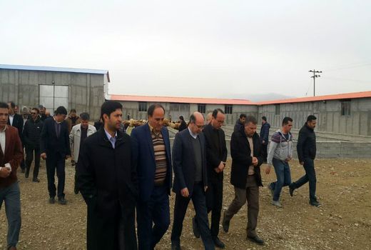 افتتاح پروژه پرورش بره پرواری در شهرستان شیروان