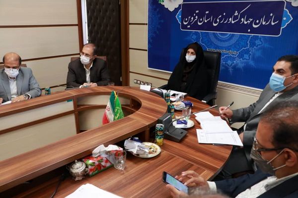 قزوین به عنوان استان پیشرو در تعیین قیمت کشمش تعیین شده است 