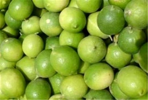 «فارس» دارای رتبه اول تولید لیمو ترش در کشور