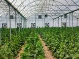 ضرورت کشت گلخانه‌ای با توجه به شوری آب و خاک خراسان جنوبی