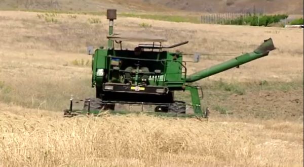 پوشش ۱۱۰ هزار هکتار از اراضی دیم بیجار در طرح جهش تولید دیمزارها