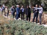 معاون امور زراعت وزارت جهاد کشاورزی از مرکز تحقیقات کشاورزی قزوین بازدید کرد