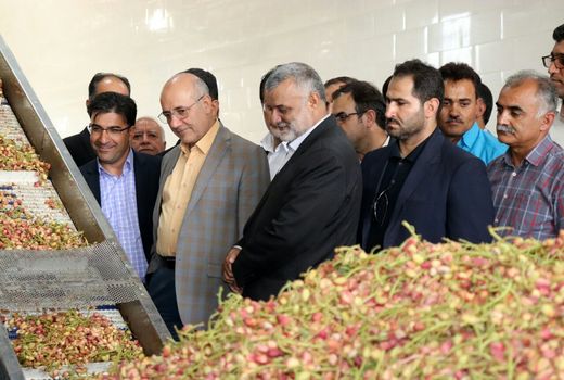 واحد فرآوری پسته شهرستان دامغان افتتاح شد