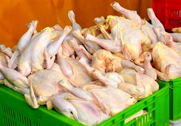 بازار مرغ در ثبات نسبی+قیمت 
