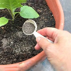 تدوین بیش از 50 عنوان دستورالعمل کاربردی مصرف کود