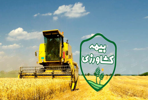 ورود صندوق بیمه کشاورزی به بیمه درآمد موجب کمک به تنظیم بازار می‌شود