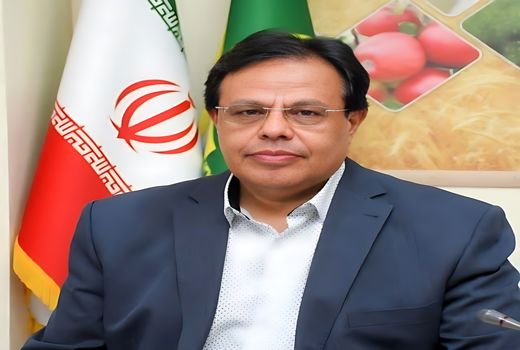 اقدام سازمان جهاد کشاورزی آذربایجان شرقی در راستای سیاستهای دولت چهاردهم برای توسعه انرژی‌های پاک