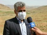 نگران باغات حاشیه رودخانه‌ها هستیم