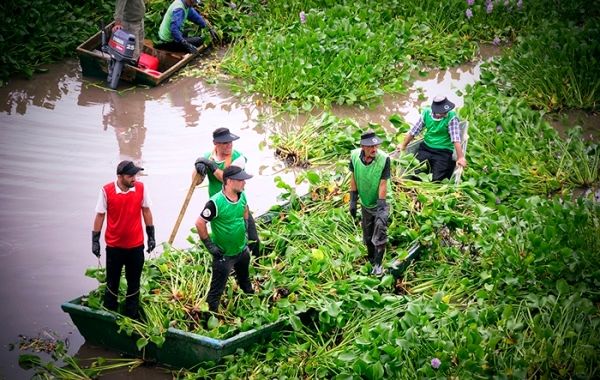 حذف گونه‌های مهاجم تالاب‌ها در دستور کار امسال سازمان محیط زیست