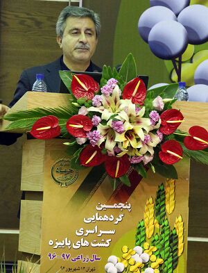 تولید 500 هزار تن کلزا برای سال زراعی جدید/ واردات 149 هزار میلیارد تومان روغن و دانه‌های روغنی به کشور طی 10 سال