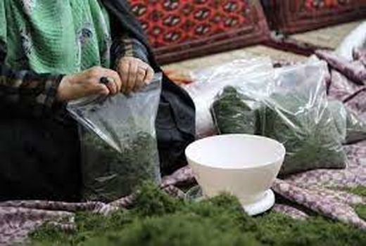 اعطای بیش از 7 میلیاد ریال تسهیلات مشاغل خانگی در آبادان 