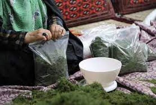 اعطای بیش از 7 میلیاد ریال تسهیلات مشاغل خانگی در آبادان 