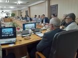 خرید 502هزار تن گندم از کشاورزان 