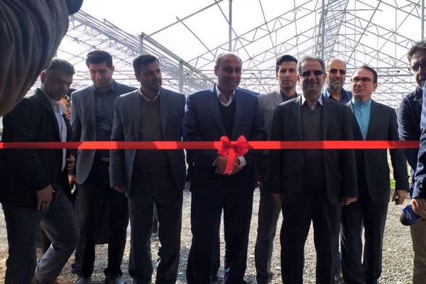 گلخانه هیدروپونیک تولید پایه رز پیوندی به بهره‌برداری رسید