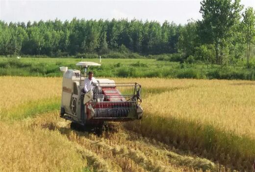 اعطای تسهیلات ۳۲ میلیارد ریالی به بخش مکانیزاسیون ماسال
