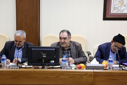 توان افزایش عملکرد باغات زیتون تا 12تن در هکتار