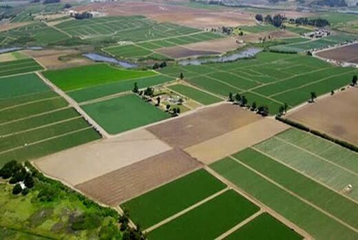 شناسایی ۱۵۷۴ مورد تغییر کاربری غیرمجاز در اراضی فارس