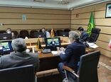 طی سال ۹۸، بر اساس برنامه ۳ ساله توفیقات خوبی در عرصه کشاورزی کرمانشاه رقم خورد