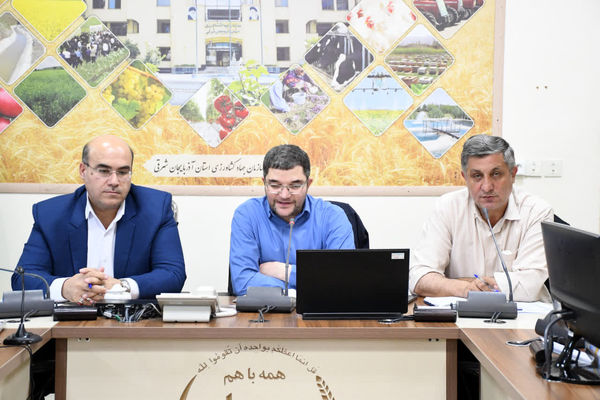 خدمات حمایتی دولت مشروط به رعایت الگوی کشت/ نقش اصناف در ساماندهی نهادهها و زنجیره تولید پررنگتر میشود