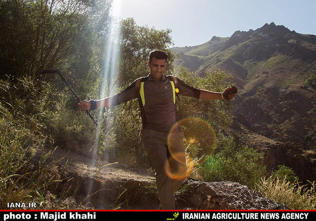کوه پیمایی