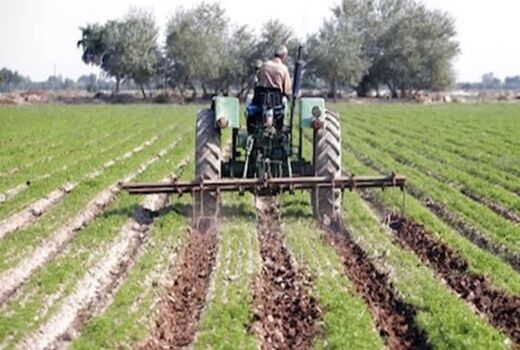 خرد شدن اراضی و فرسودگی ماشین‌آلات؛ دو مانع جدی افزایش بهره‌وری در مزارع چغندرقند