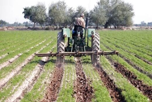 خرد شدن اراضی و فرسودگی ماشین‌آلات؛ دو مانع جدی افزایش بهره‌وری در مزارع چغندرقند