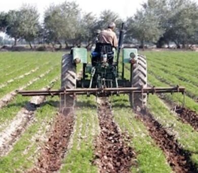 خرد شدن اراضی و فرسودگی ماشین‌آلات؛ دو مانع جدی افزایش بهره‌وری در مزارع چغندرقند