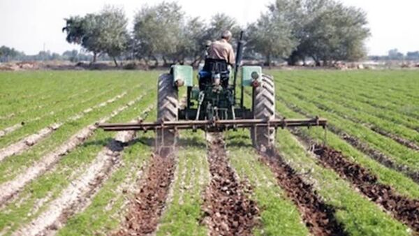 خرد شدن اراضی و فرسودگی ماشین‌آلات؛ دو مانع جدی افزایش بهره‌وری در مزارع چغندرقند