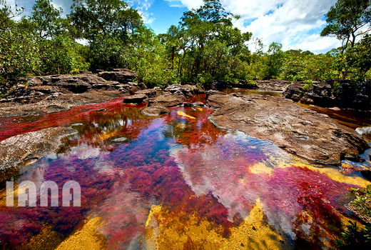 رودخانه «پنج رنگ» در کشور کلمبیا