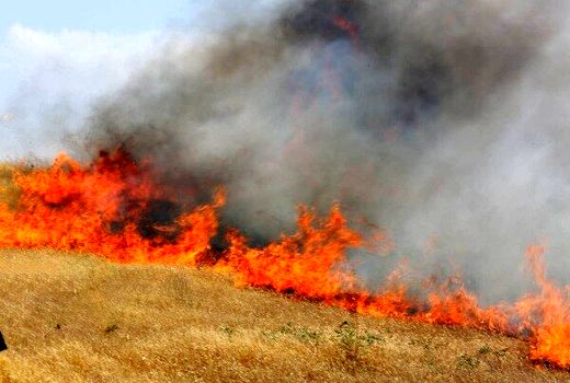 آمادگی مقابله با آتش‌سوزی مراتع در روزهای گرم فصل تابستان را داریم