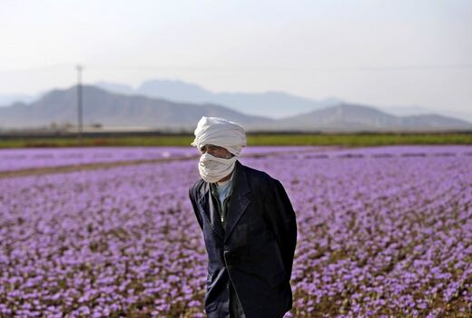 متخصصان درجایی که باید بایستند، نایستاده‌اند