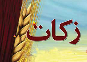 برگزاری شورای زکات درقطب وانبارغله استان کرمان 