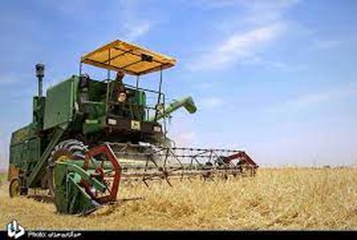 خرید تضمینی گندم در کردستان آغاز شد
