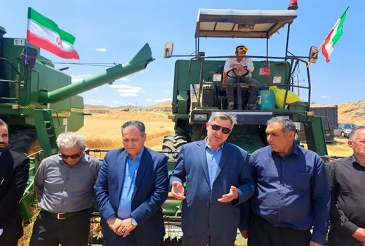 آغاز برداشت گندم در کلیبر
