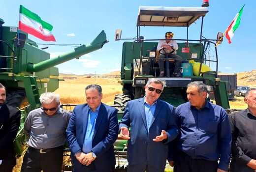 آغاز برداشت گندم در کلیبر