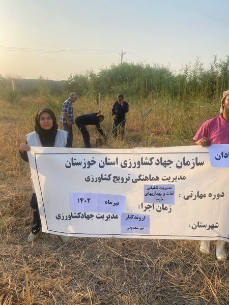 ارتقاء تولید محصول با مدیریت تلفیقی آفات و بیماری‌های خرما در آبادان 