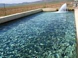 تولید ماهی در خراسان شمالی 14 درصد افزایش یافت