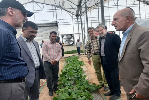 بازدید رئیس سازمان مدیریت و برنامه‌ریزی استان قزوین از شهرک گلخانه‌ای نودهک