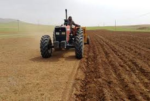 اجرای طرح کشت مستقیم گندم و کلزا در بقایای شلتوک ماهشهر