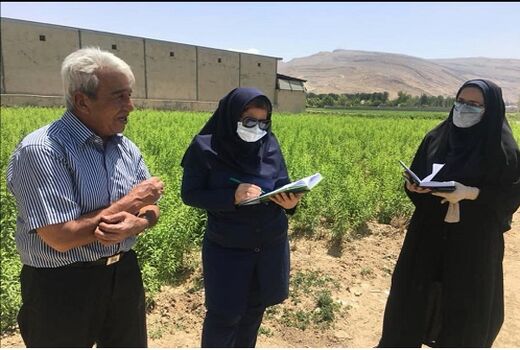 آغاز رسمی طرح نسخه نویسی گیاه پزشکی در شیراز